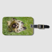 Étiquette À Bagage Terrier Yorkshire mignon Traversant L'Herbe (Devant Horizontal)