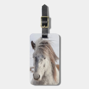 Étiquette À Bagage Tête de cheval islandais blanc de face