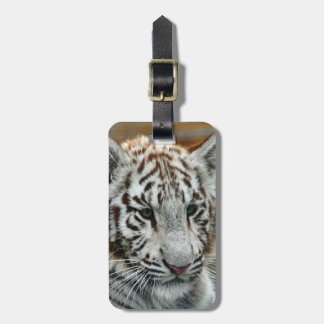 Étiquette À Bagage Tiger20151001