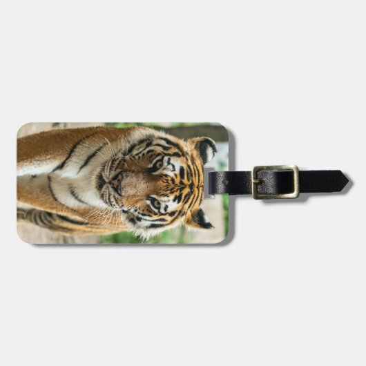 Étiquette À Bagage Tigre de randonnée forestière (Devant horizontal)
