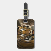 Étiquette À Bagage Tigre de Sibérie (Devant Vertical)