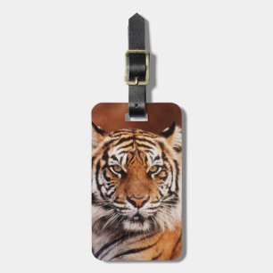 Étiquette À Bagage Tigre de Sumatra