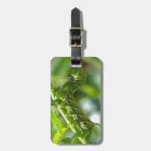 Étiquette À Bagage Tomato (Devant Vertical)