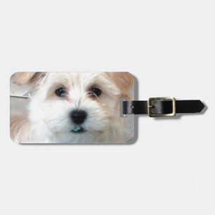 Étiquette À Bagage Tooth vert drôle bronzage de chiot de délivrance