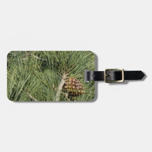 Étiquette À Bagage Torrey Pine Closeup California Botanical (Devant horizontal)