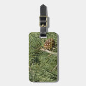 Étiquette À Bagage Torrey Pine Closeup California Botanical (Devant Vertical)