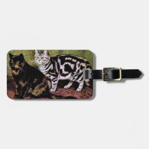 Étiquette À Bagage Tortoiseshell et Tabby Cats d'argent