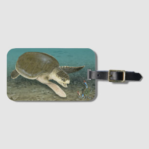 Étiquette À Bagage Tortue de mer de Ridley de Kemp dans l'étiquette