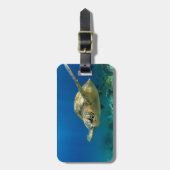 Étiquette À Bagage Tortue de mer sous l'eau (Devant Vertical)