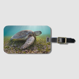Étiquette À Bagage Tortue de mer verte à la baie du crépuscule
