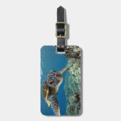 Étiquette À Bagage Tortue de mer verte hawaïenne (Devant Vertical)