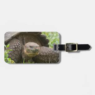 Étiquette À Bagage Tortue géante