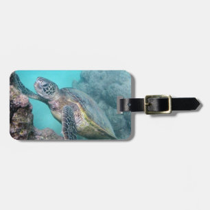 Étiquette À Bagage Tortue verte d'Hawaii