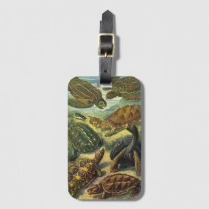 Étiquette À Bagage Tortues anciennes et tortues de mer par Ernst Haec