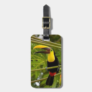 Étiquette À Bagage Toucan tropical