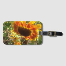 Tournesol jaune et orange