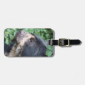 Étiquette À Bagage Tremarctos ornatus (Devant horizontal)