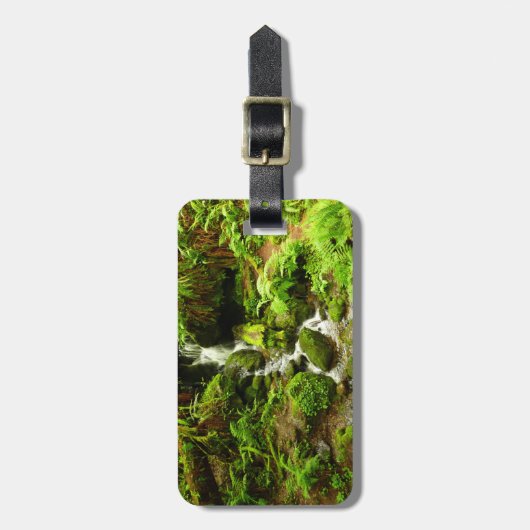 Étiquette À Bagage Trillium Falls (Devant Vertical)