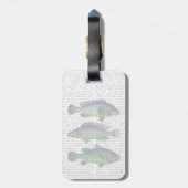 Étiquette À Bagage Trio poisson bleu et vert (Dos Vertical)