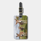 Étiquette À Bagage Trois ânes (Devant Vertical)