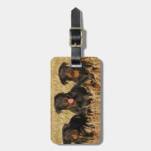 Étiquette À Bagage Trois chiens Rottweiler - Pack de Rotties (Devant Vertical)