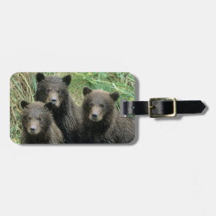 Étiquette À Bagage Trois oursons grizzly ou coys