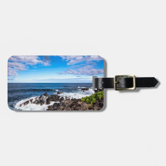 Étiquette À Bagage Tropical Beaches | Haleakala National Park Maui (Devant horizontal)