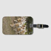 Étiquette À Bagage Troupeau de moutons laineux blancs, (Devant Horizontal)