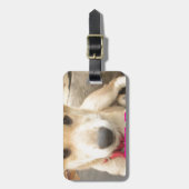 Étiquette À Bagage Tu Devrais WIFI Ton Amour Tous Les Jours (Devant Vertical)