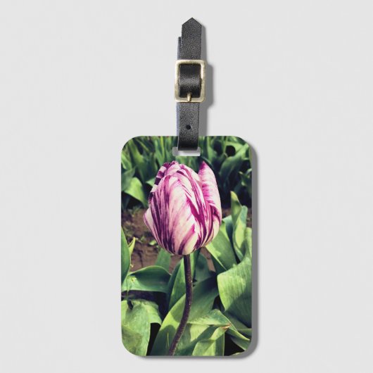 Étiquette À Bagage Tulipe à rayures violettes et blanches unique (Devant Vertical)