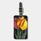 Étiquette À Bagage Tulipe (Tulipa Gesneriana) (Devant Vertical)
