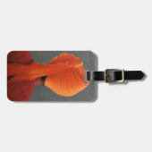 Étiquette À Bagage Turban d'Orange (Devant horizontal)