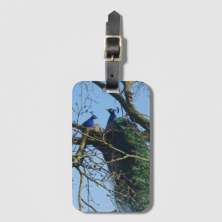 Étiquette À Bagage Two Peacocks in a Tree Luggage Tag