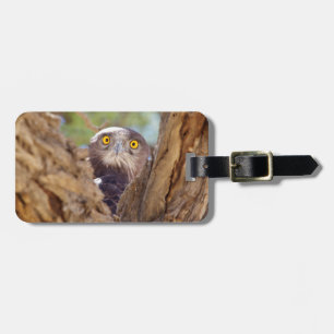 Étiquette À Bagage Un Aigle serpentaire à poitrine blanche
