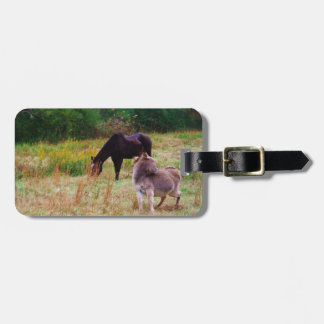 Étiquette À Bagage Un âne et un cheval dans un champ d'automne.