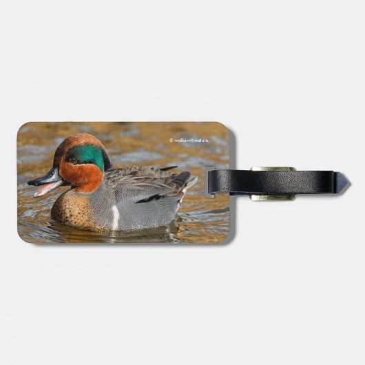 Étiquette À Bagage Un canard Turquoise à ailes vertes chatté à l'étan (Dos horizontal)