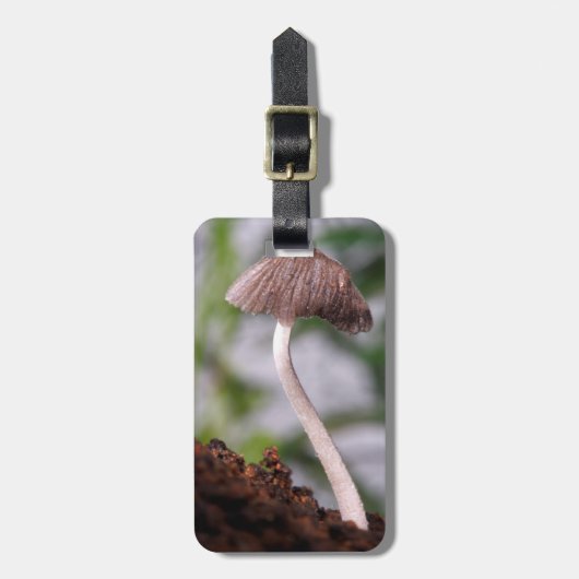 Étiquette À Bagage Un champignon (Devant Vertical)