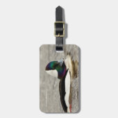 Étiquette À Bagage Un Charmant Canard À Tête De Buffle Nage Par (Devant Vertical)