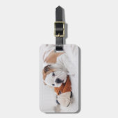 Étiquette À Bagage Un chiot anglais de bouledogue jouant avec un (Devant Vertical)