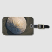 Étiquette À Bagage Un dollar de sable sur la plage (Devant Horizontal)