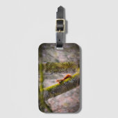 Étiquette À Bagage Un écureuil     (Devant Vertical)