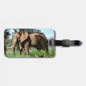 Étiquette À Bagage Un éléphant africain au Safari (Dos horizontal)