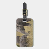 Étiquette À Bagage Un éléphant africain paissant dans les champs (Devant Vertical)