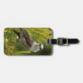 Étiquette À Bagage Un joli et curieux gris Jay / Whiskeyjack (Devant horizontal)