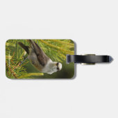 Étiquette À Bagage Un joli et curieux gris Jay / Whiskeyjack (Dos horizontal)