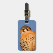 Étiquette À Bagage Un Kestrel Américain sur un fil (Devant Vertical)