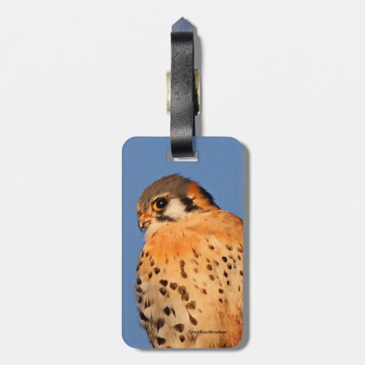 Étiquette À Bagage Un Kestrel Américain sur un fil (Dos Vertical)