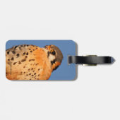 Étiquette À Bagage Un Kestrel Américain sur un fil (Dos horizontal)