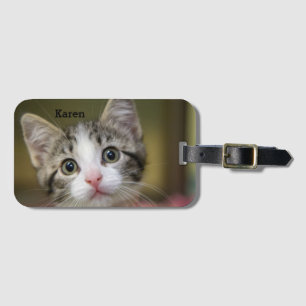 Étiquette À Bagage Un mignon chaton aux yeux verts