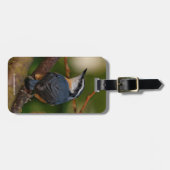 Étiquette À Bagage Un Nuthatch gras à poitrine rouge (Devant horizontal)